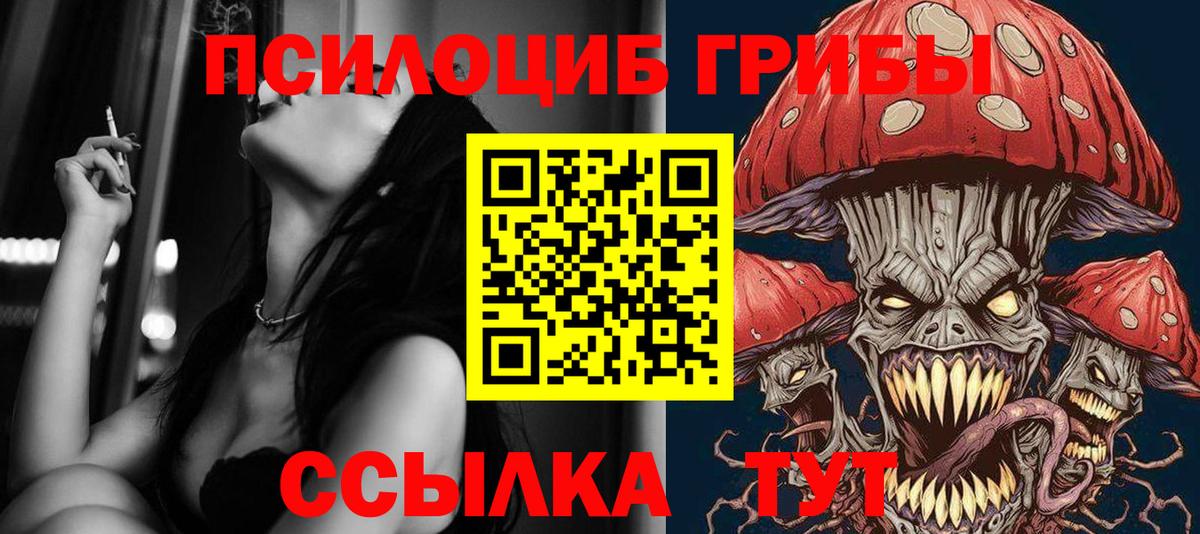 Галлюциногенные грибы Psilocybe Ейск